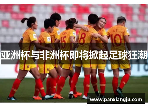 亚洲杯与非洲杯即将掀起足球狂潮