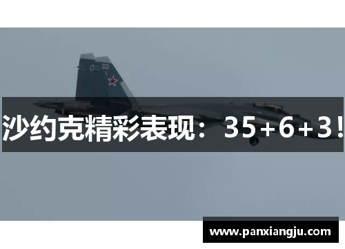 沙约克精彩表现：35+6+3！